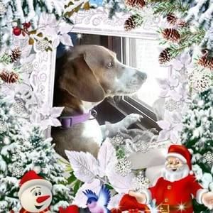 Meet your Posher, Trisha